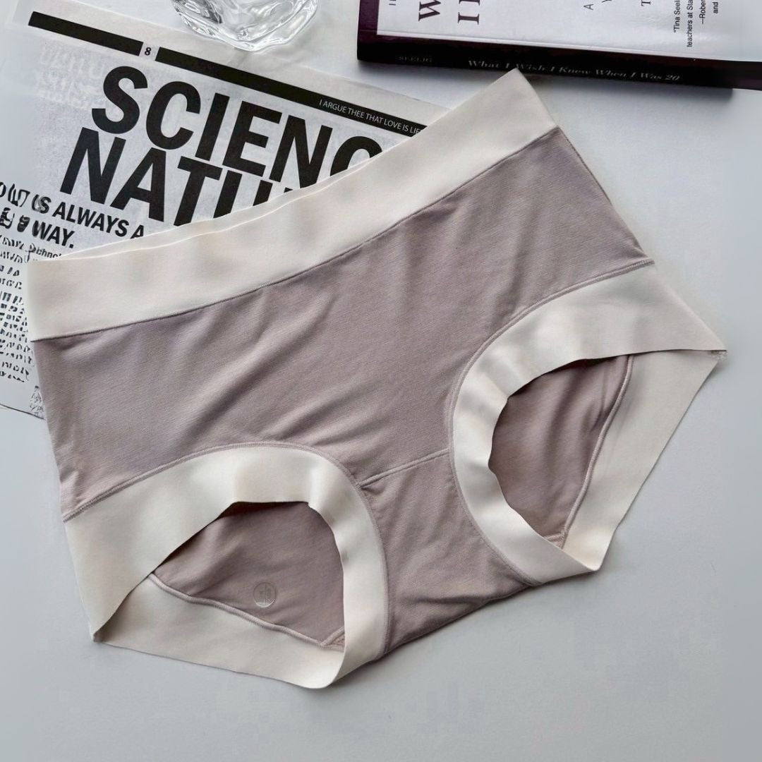 Silk Soft Seamless Panty