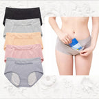 Leak Proof Period Panty