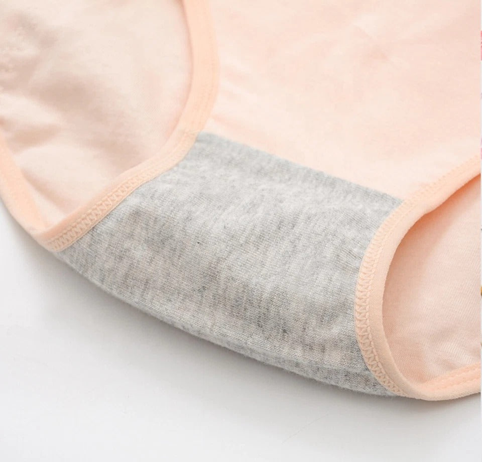 Leak Proof Period Panty