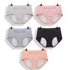 Leak Proof Period Panty